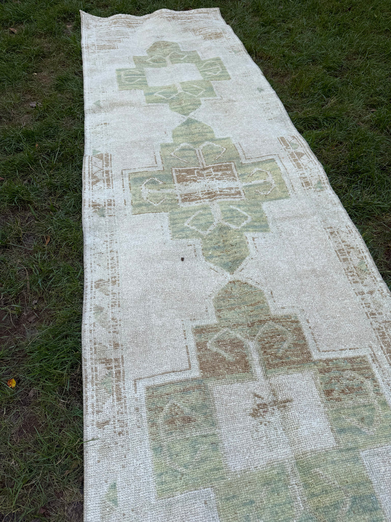 Williams, 37" x 11.3