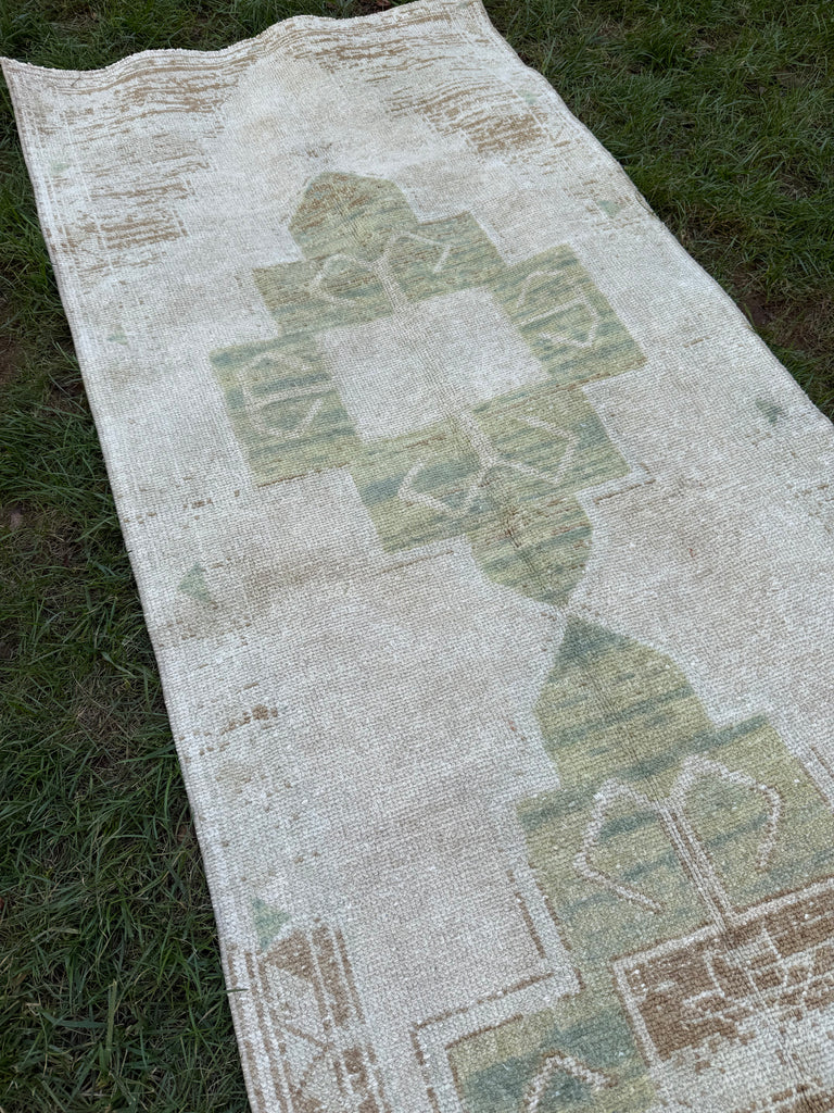 Williams, 37" x 11.3